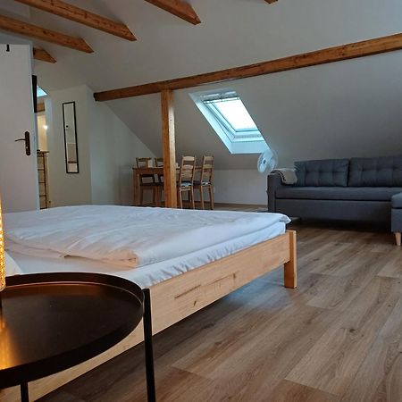 Loft Apartment Karlsbad Eksteriør billede