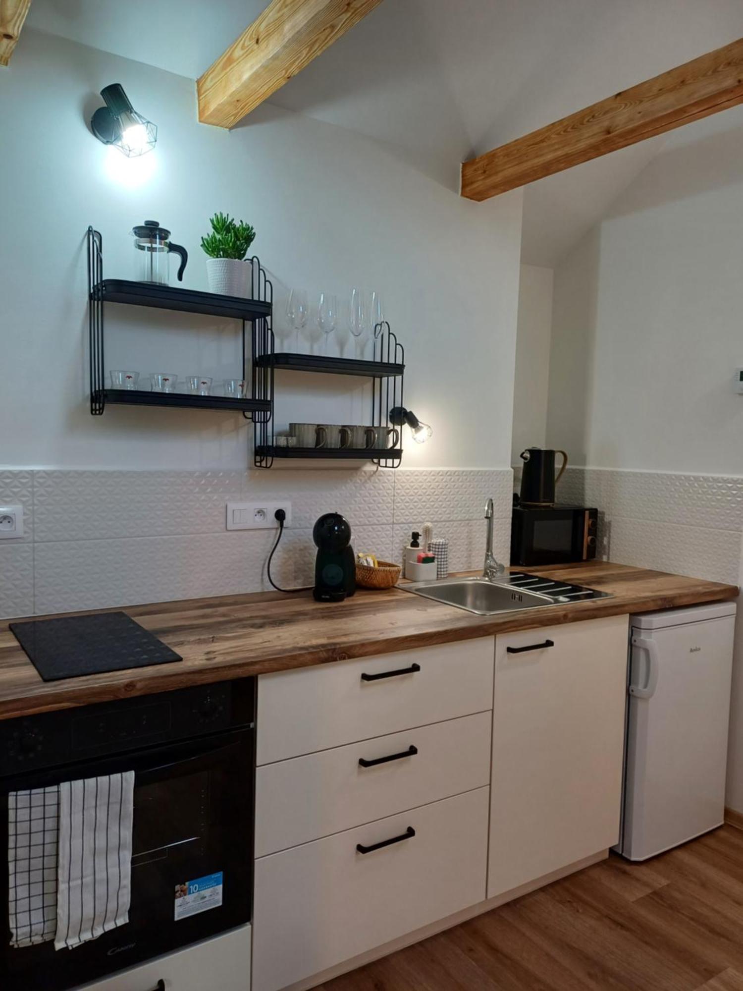 Loft Apartment Karlsbad Eksteriør billede