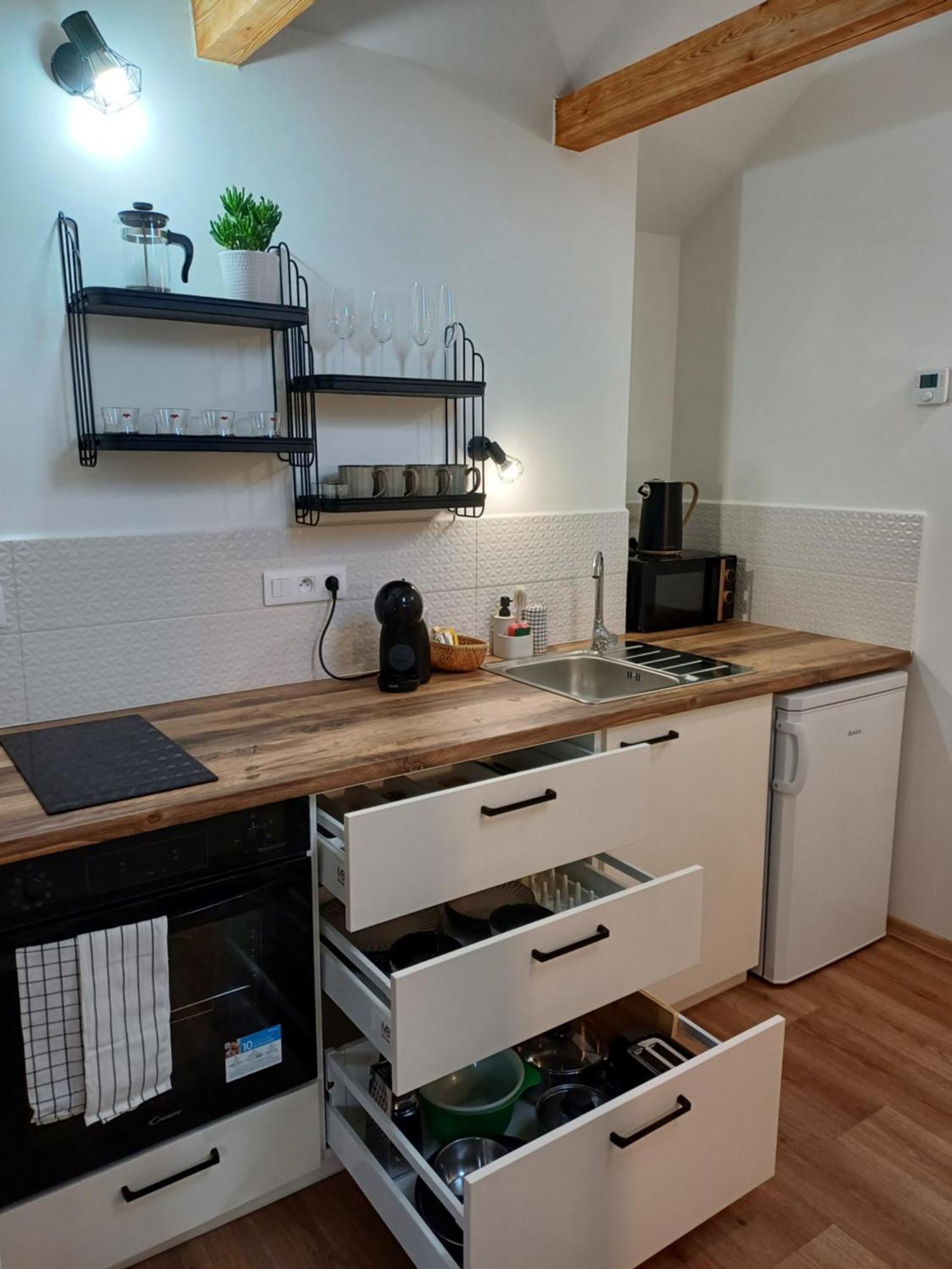 Loft Apartment Karlsbad Eksteriør billede